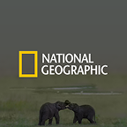 National Geographic Baby Animals